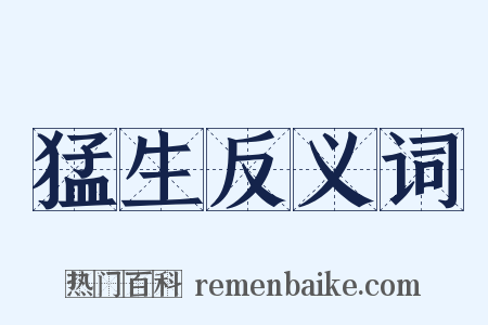 猛生反义词是什么意思的图片